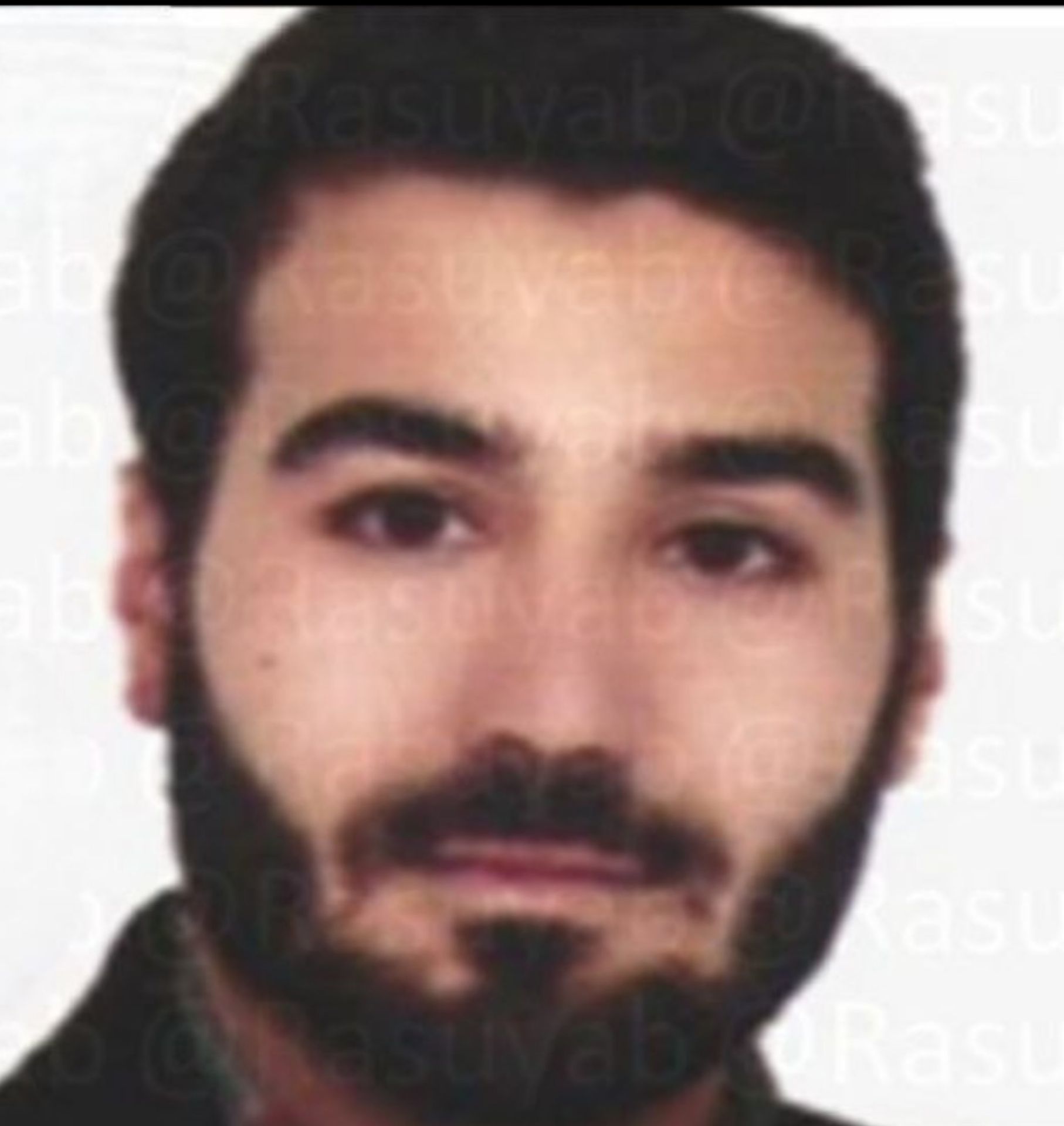سید محمد حسن موسوی الارزی