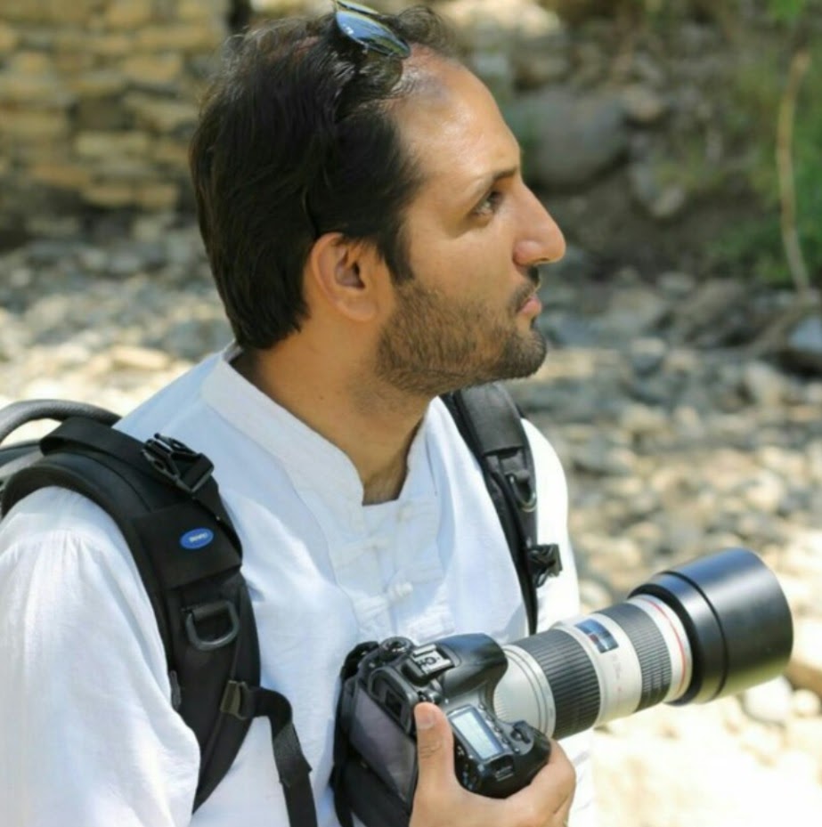 مهدی شریفی