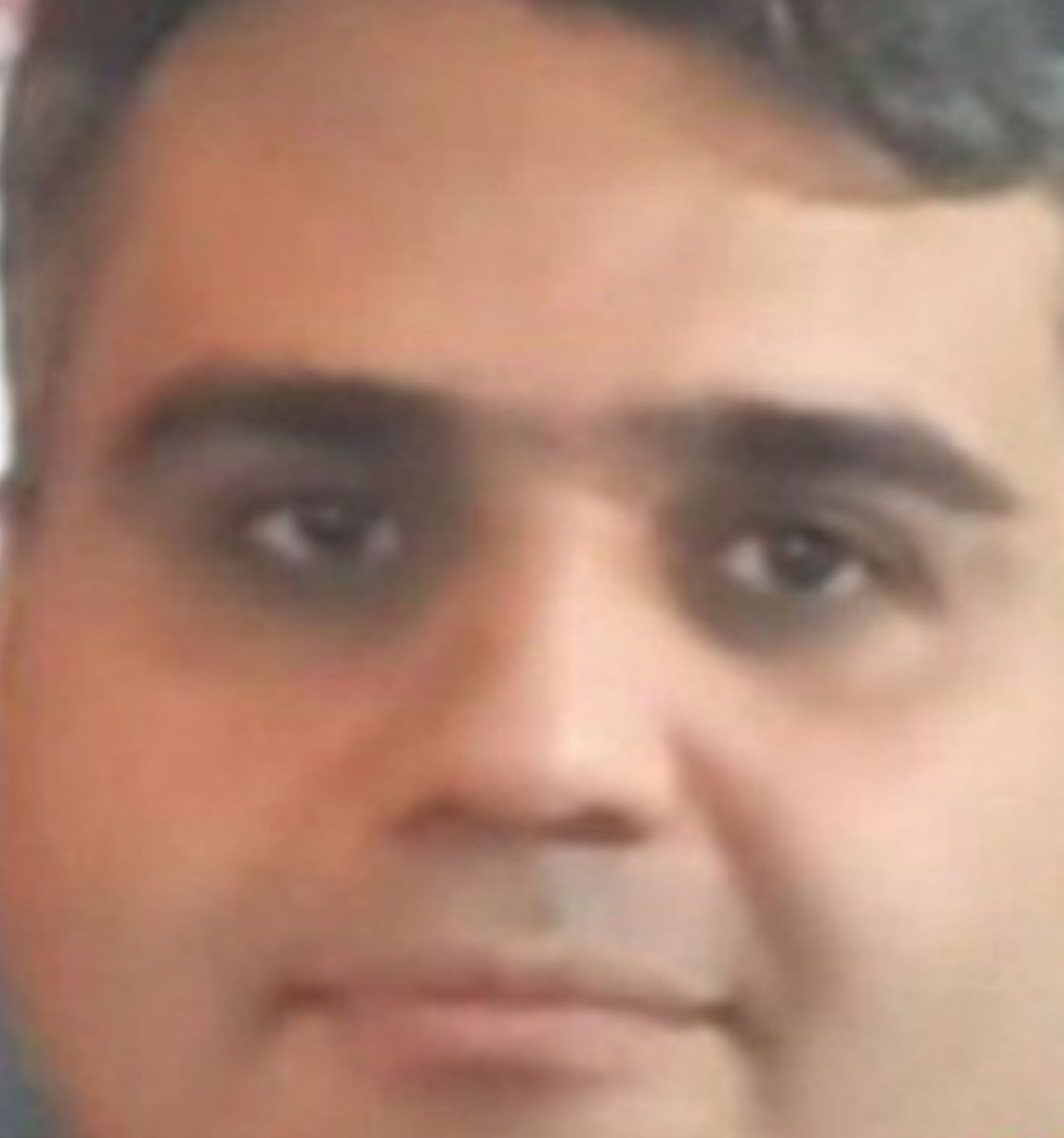 یاسر پیرزادی