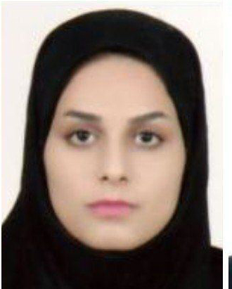 مینا آژوغ